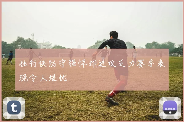 独行侠防守强悍却进攻乏力赛季表现令人堪忧