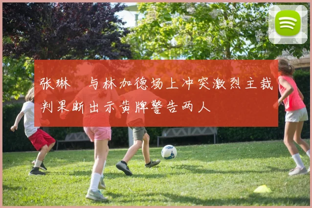 张琳芃与林加德场上冲突激烈主裁判果断出示黄牌警告两人
