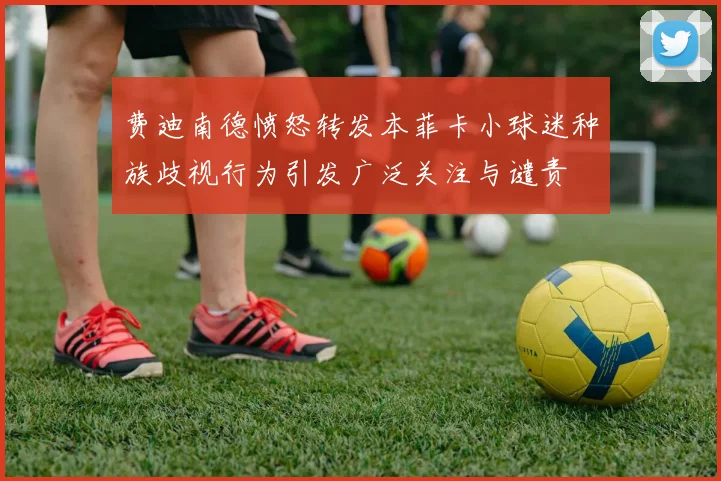 费迪南德愤怒转发本菲卡小球迷种族歧视行为引发广泛关注与谴责